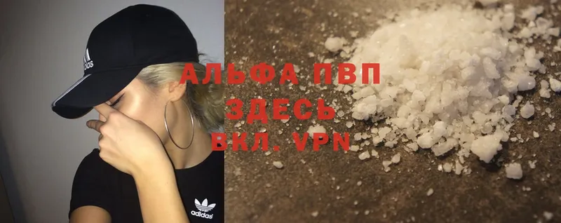 Альфа ПВП СК  Весьегонск 